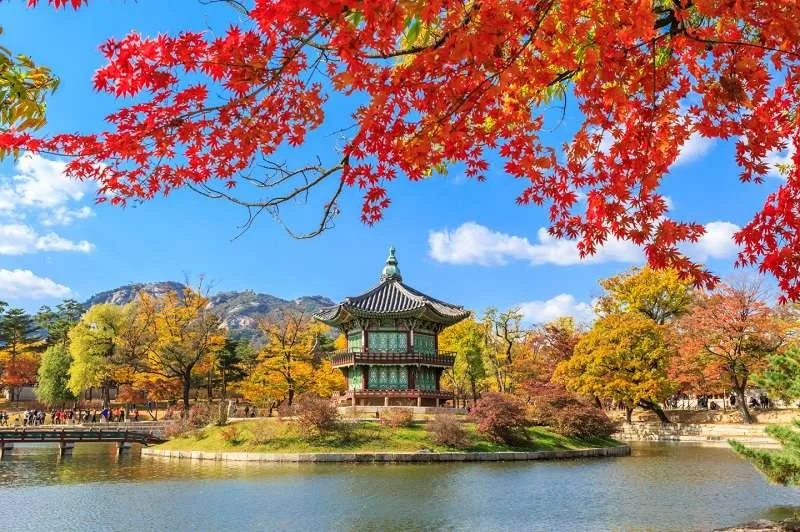 cam nang chon tour du lich han quoc tron goi gia tot nhat tu a z