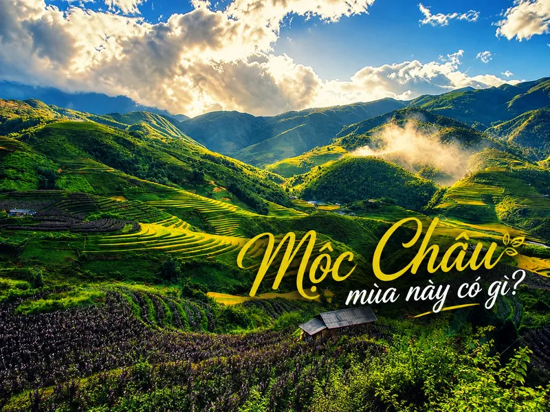 Thời tiết Mộc Châu tháng 8 mát mẻ, đôi lúc xuất hiện sương và mưa rào bất chợt
