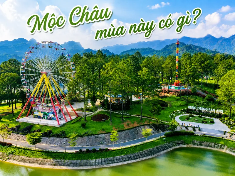 Rừng thông bản Áng mang vẻ đẹp yên bình với hồ nước, hàng cây và không khí trong lành