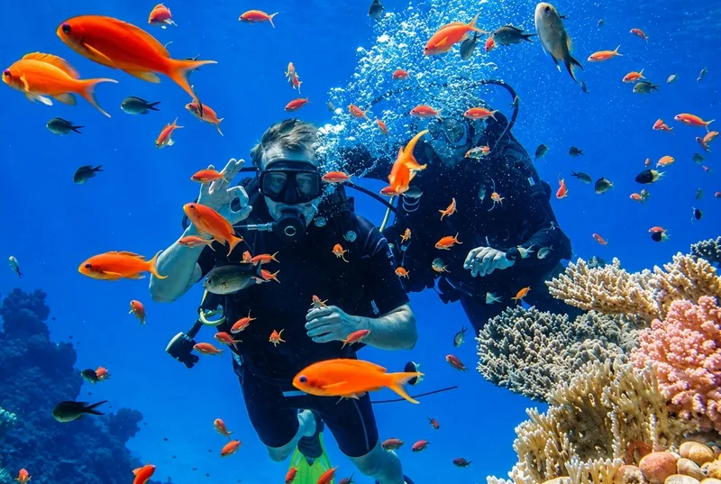 Từ đi đảo, khám phá đại dương đến vui chơi và nghỉ dưỡng, Nha Trang có nhiều trải nghiệm phù hợp với từng sở thích du lịch.
